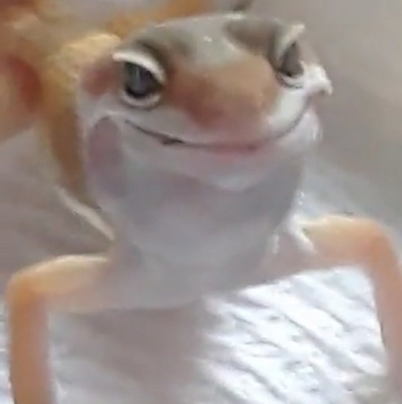 Meet your Posher! - Picture 2 of 2